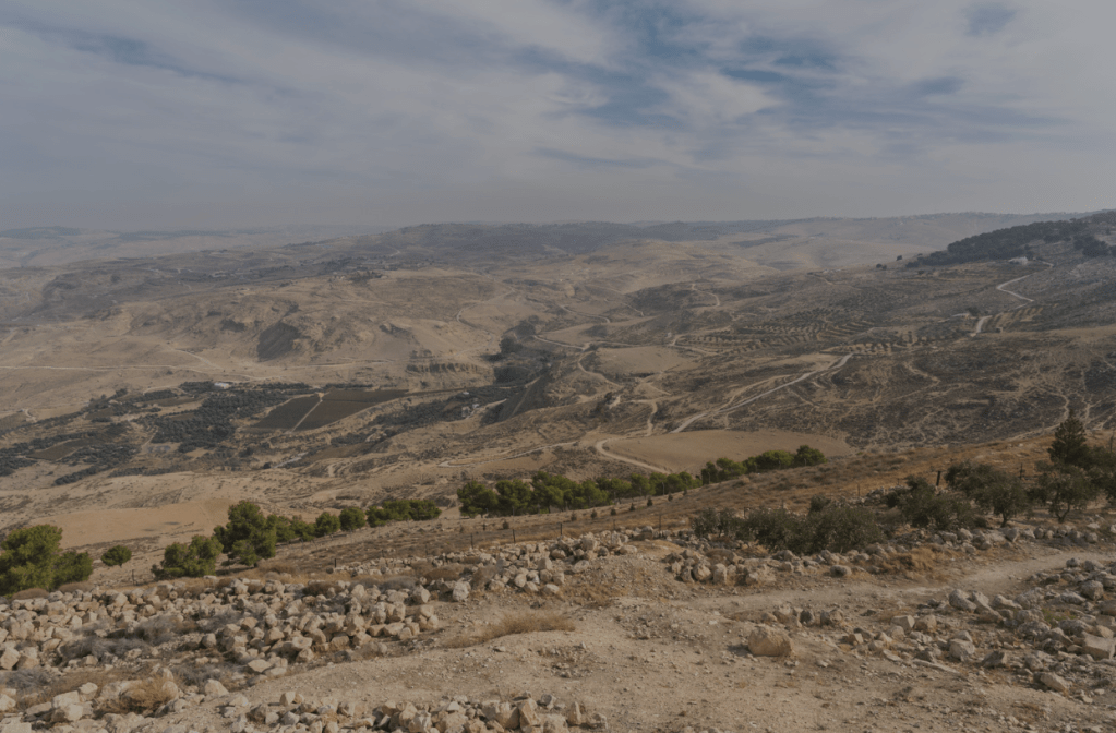 Otrovert: When Your Social Energy Doesn’t Fit a&nbsp;Label