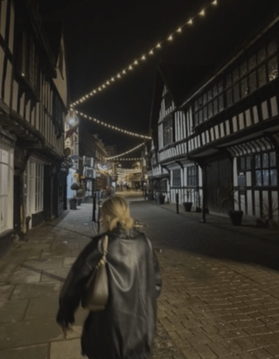 The Year Of The Snake: The Final Shedding Before 2026&nbsp;Starts